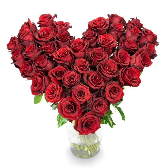 Bouquet of Ecuadorian roses